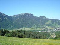 Hahnenkamm. Bildquelle: Wikimedia Commons, Autor: nikolas kaiser, Bildlizenz: Creative Commons