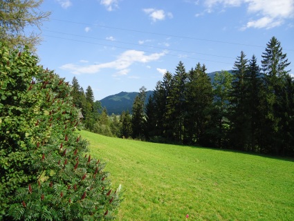 Tirol Panorama. Bildquelle: City Tours GmbH. Autor: Radosveta Iontcheva.