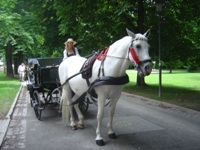 Fiaker Rundfahrten Innsbruck