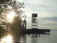 Der Bodensee bei Bregenz in Vorarlberg